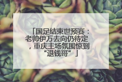 国足结束世预赛：老帅伊万去向仍待定，重庆主场氛围惊到“退钱哥”