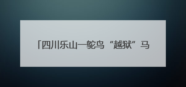 四川乐山一鸵鸟“越狱”马路狂奔，目击者：时速超40码，还对我“笑”了下
