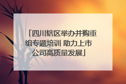 四川辖区举办并购重组专题培训 助力上市公司高质量发展