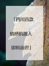 四川首款情感机器人即将面世