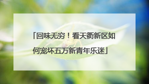回味无穷！看天衢新区如何宠坏五万新青年乐迷