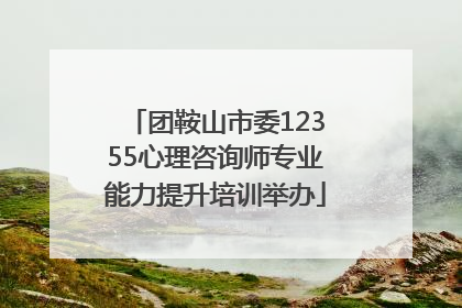 团鞍山市委12355心理咨询师专业能力提升培训举办