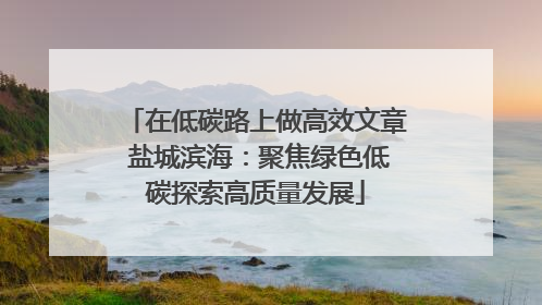 在低碳路上做高效文章 盐城滨海：聚焦绿色低碳探索高质量发展