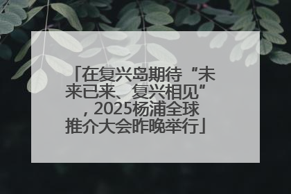 在复兴岛期待“未来已来、复兴相见”，2025杨浦全球推介大会昨晚举行