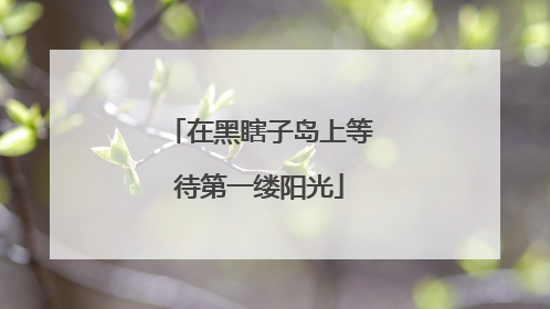 在黑瞎子岛上等待第一缕阳光