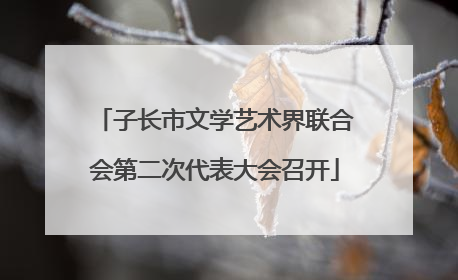 子长市文学艺术界联合会第二次代表大会召开