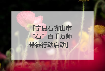 宁夏石嘴山市“石”百千万师带徒行动启动
