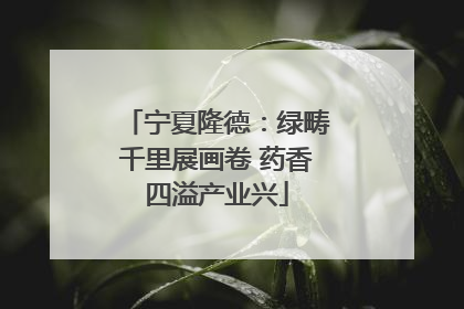 宁夏隆德：绿畴千里展画卷 药香四溢产业兴
