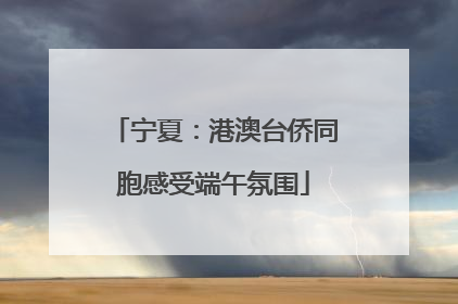 宁夏：港澳台侨同胞感受端午氛围