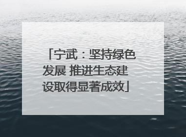 宁武：坚持绿色发展 推进生态建设取得显著成效