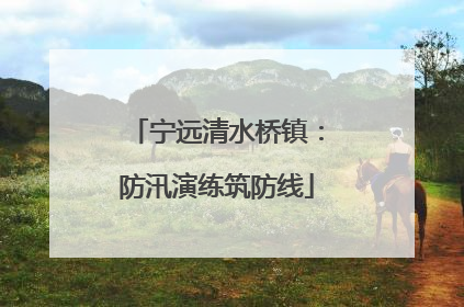 宁远清水桥镇：防汛演练筑防线