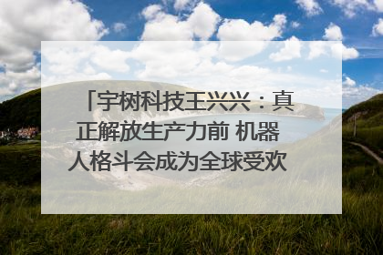 宇树科技王兴兴：真正解放生产力前 机器人格斗会成为全球受欢迎的赛事｜科技观察