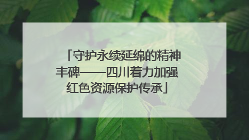 守护永续延绵的精神丰碑——四川着力加强红色资源保护传承