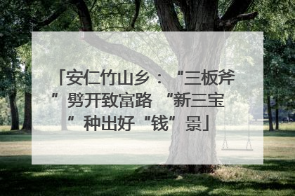 安仁竹山乡：“三板斧”劈开致富路 “新三宝”种出好“钱”景