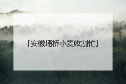 安徽埇桥小麦收割忙