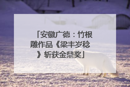 安徽广德：竹根雕作品《梁丰岁稔》斩获金鼎奖