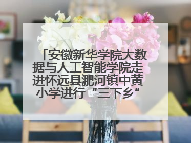 安徽新华学院大数据与人工智能学院走进怀远县淝河镇中黄小学进行“三下乡”支教活动