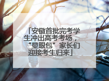 安徽首批完考学生冲出高考考场，“显眼包”家长们迎接考生归来