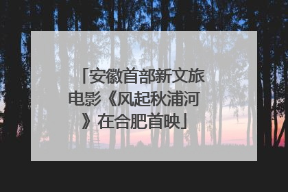安徽首部新文旅电影《风起秋浦河》在合肥首映