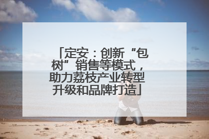 定安：创新“包树”销售等模式，助力荔枝产业转型升级和品牌打造