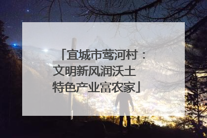 宜城市莺河村：文明新风润沃土 特色产业富农家