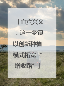 宜宾兴文：这一乡镇以创新种植模式拓宽“增收路”