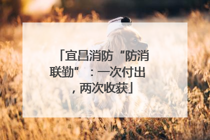 宜昌消防“防消联勤”：一次付出，两次收获