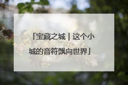 宝藏之城｜这个小城的音符飘向世界