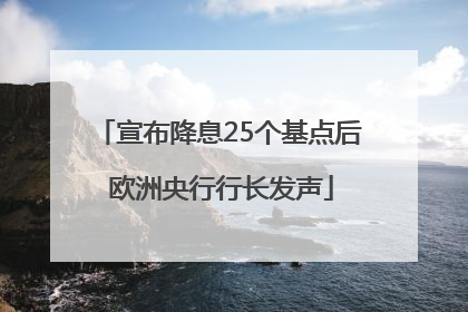 宣布降息25个基点后 欧洲央行行长发声