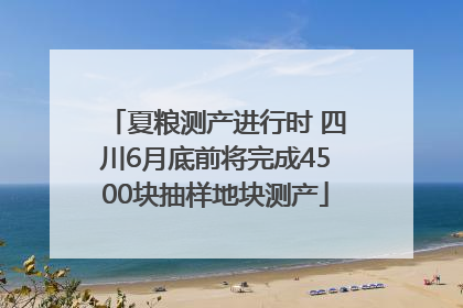 夏粮测产进行时 四川6月底前将完成4500块抽样地块测产