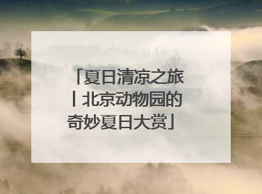 夏日清凉之旅丨北京动物园的奇妙夏日大赏