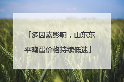 多因素影响，山东东平鸡蛋价格持续低迷