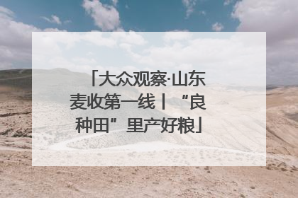 大众观察·山东麦收第一线丨“良种田”里产好粮