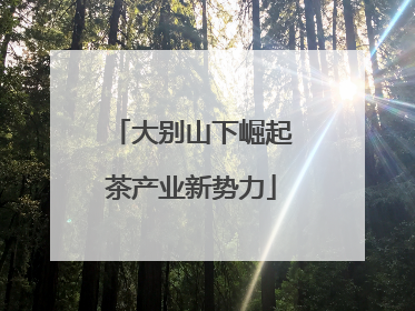 大别山下崛起茶产业新势力