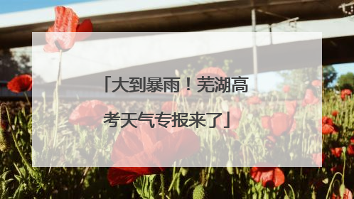 大到暴雨！芜湖高考天气专报来了