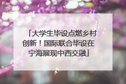 大学生毕设点燃乡村创新！国际联合毕设在宁海展现中西交融