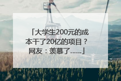 大学生200元的成本干了20亿的项目？网友：羡慕了……