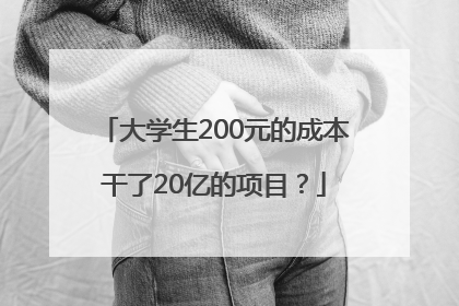 大学生200元的成本干了20亿的项目？