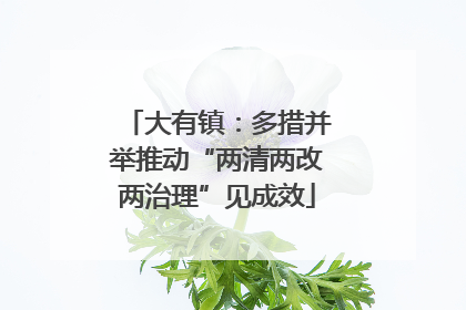 大有镇：多措并举推动“两清两改两治理”见成效