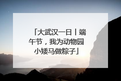 大武汉一日丨端午节，我为动物园小矮马做粽子