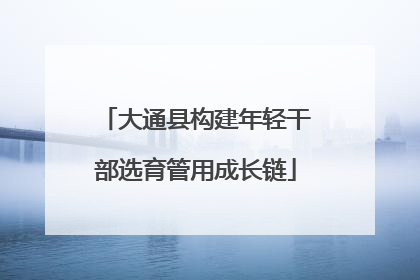 大通县构建年轻干部选育管用成长链