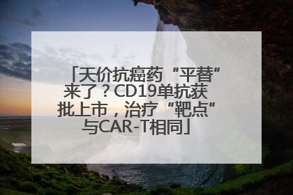 天价抗癌药“平替”来了？CD19单抗获批上市，治疗“靶点”与CAR-T相同