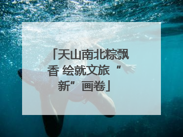 天山南北粽飘香 绘就文旅“新”画卷