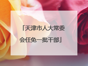 天津市人大常委会任免一批干部