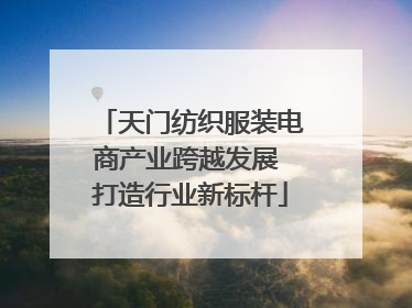 天门纺织服装电商产业跨越发展 打造行业新标杆