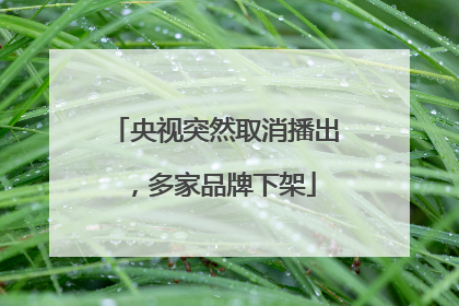 央视突然取消播出，多家品牌下架