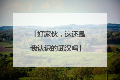好家伙，这还是我认识的武汉吗