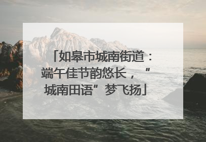 如皋市城南街道：端午佳节韵悠长，“城南田语”梦飞扬
