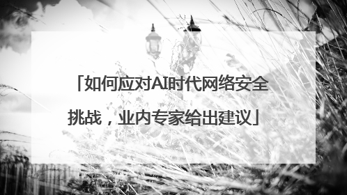 如何应对AI时代网络安全挑战，业内专家给出建议