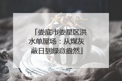 娄底市娄星区洪水单屋场：从煤灰蔽日到绿意盎然